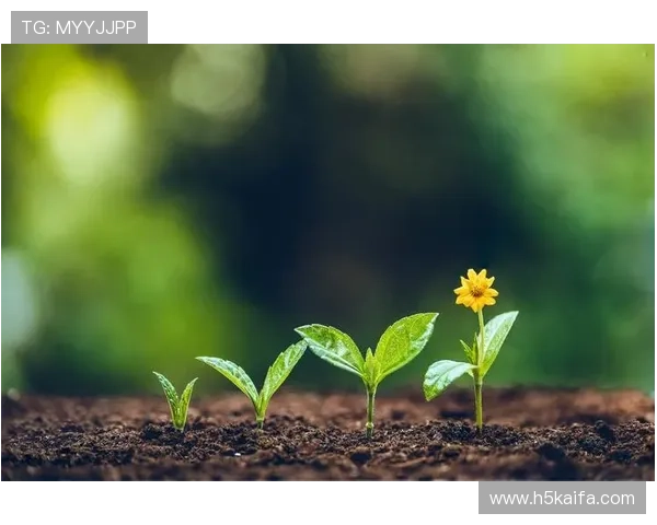 凯发旗舰厅注册平台官网助力打造绿色安全的线上娱乐平台赢得广大用户的高度信赖